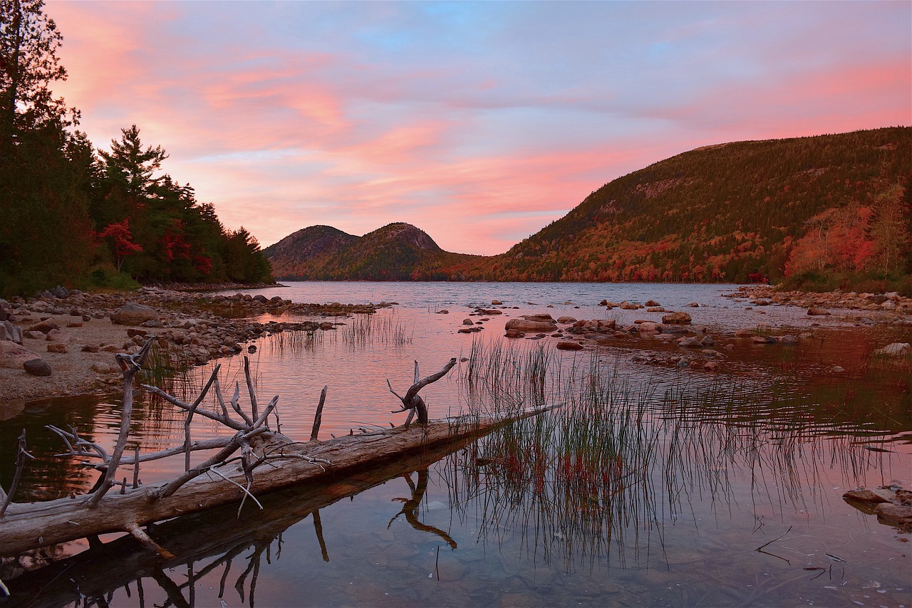 Exploring the Hidden Gems of Acadia National Park